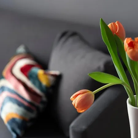 Butterfly 게스트하우스 4*