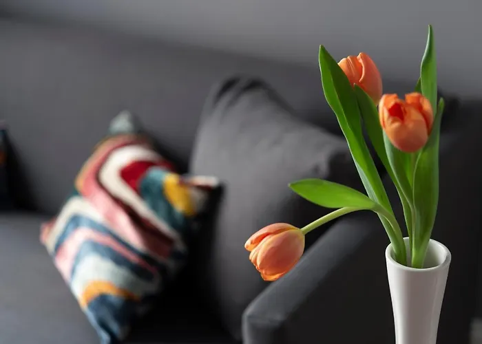 Butterfly Guest house 4*